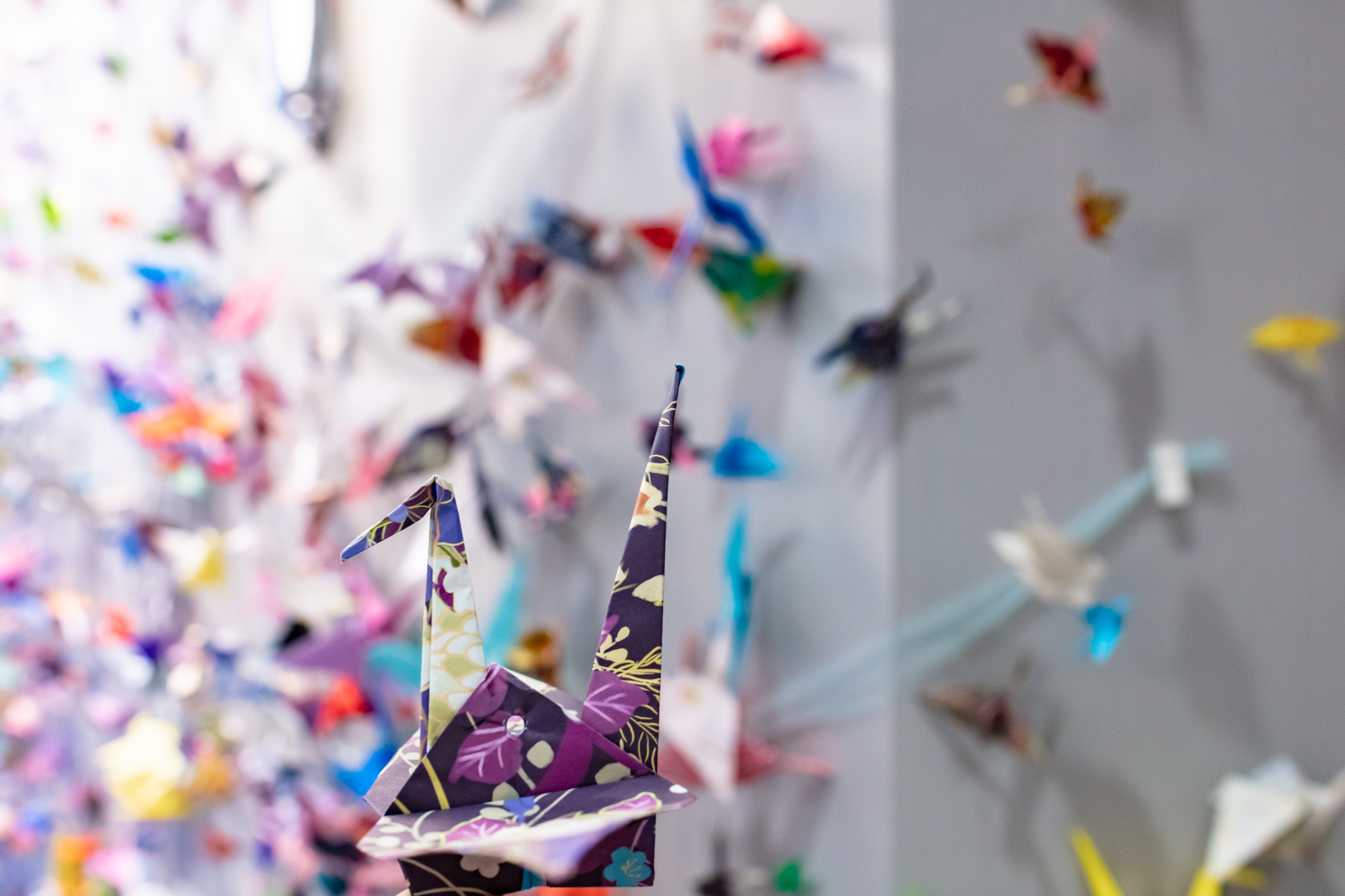 a paper crane at the UAFS campus center