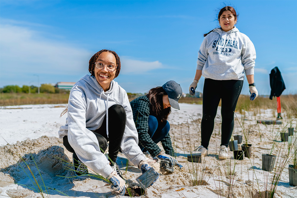 Three students from UAFS plant grass on a beach in Pensacola, Florida, during an Alternative Spring Break trip.