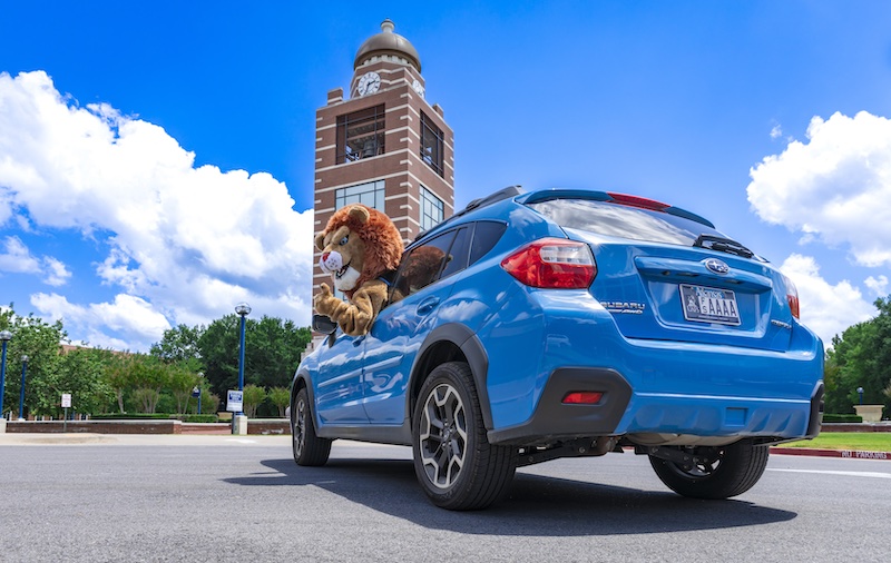 Numa lion in a blue car with a UAFS license plate