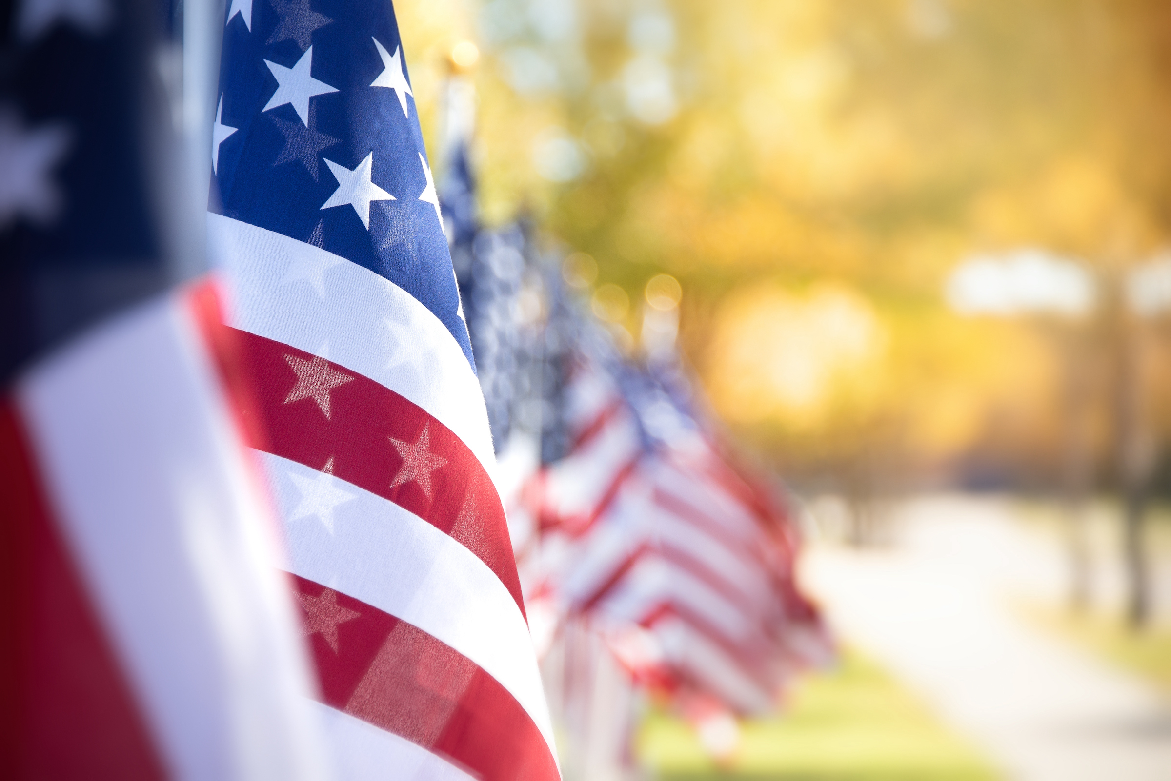 a row of US flags